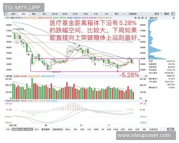 南京与杭州排球队赛后复盘分析灵活性表现与战术调整的关键因素